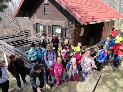 Kliknite za ogled večje slike