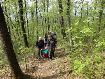 Kliknite za ogled večje slike