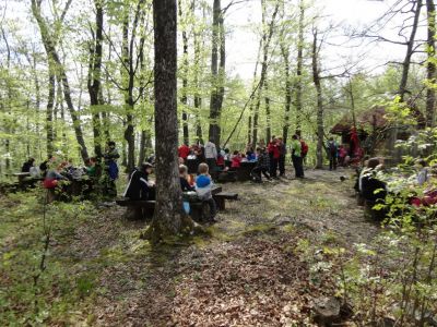Kliknite za ogled večje slike