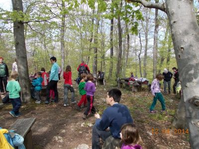 Kliknite za ogled večje slike