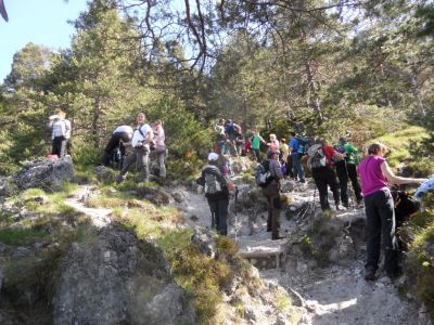 Kliknite za ogled večje slike
