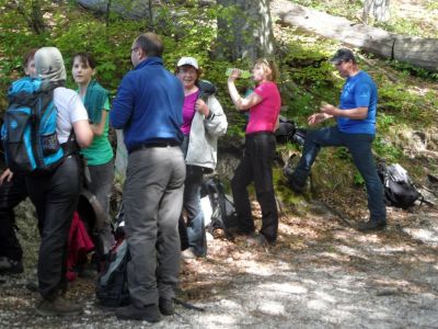 Kliknite za ogled večje slike