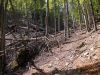 DSCN3227.JPG