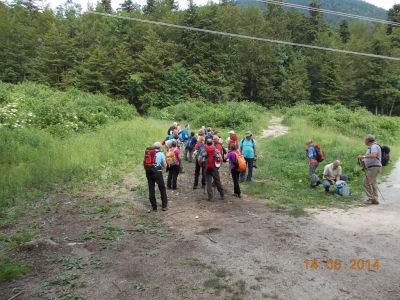 Kliknite za ogled večje slike
