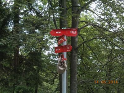 Kliknite za ogled večje slike