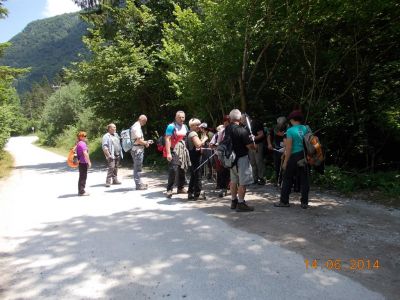 Kliknite za ogled večje slike