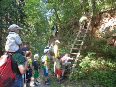 Kliknite za ogled večje slike