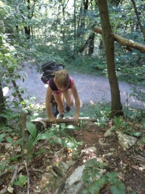 Kliknite za ogled večje slike