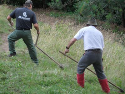 Kliknite za ogled večje slike