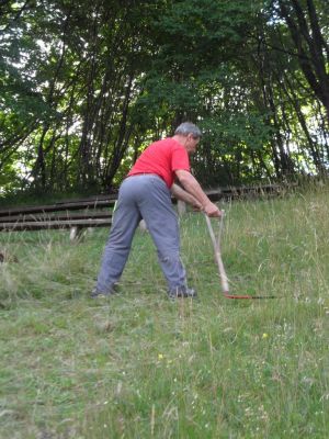 Kliknite za ogled večje slike