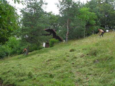 Kliknite za ogled večje slike