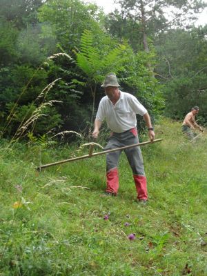 Kliknite za ogled večje slike