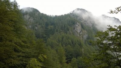 Kliknite za ogled večje slike