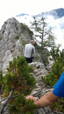 Kliknite za ogled večje slike