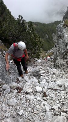 Kliknite za ogled večje slike
