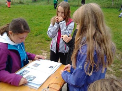 Kliknite za ogled večje slike