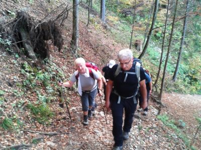 Kliknite za ogled večje slike
