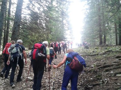 Kliknite za ogled večje slike