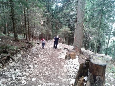 Kliknite za ogled večje slike