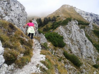 Kliknite za ogled večje slike