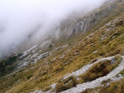 Kliknite za ogled večje slike