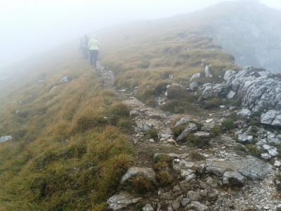Kliknite za ogled večje slike