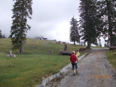 Kliknite za ogled večje slike