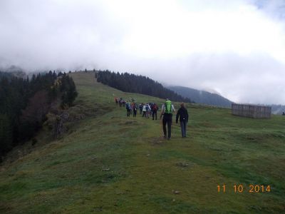 Kliknite za ogled večje slike