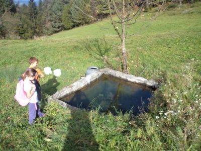 Kliknite za ogled večje slike