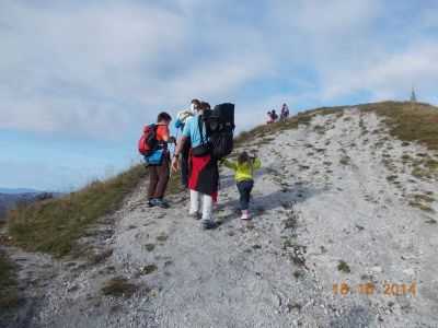 Kliknite za ogled večje slike