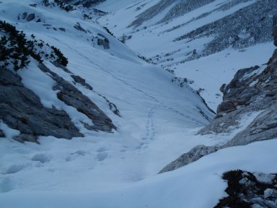 Kliknite za ogled večje slike