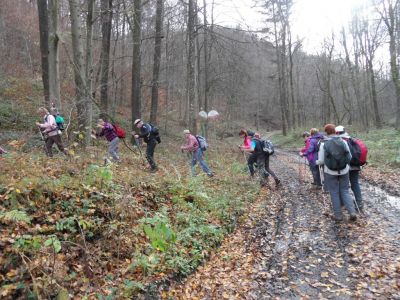 Kliknite za ogled večje slike