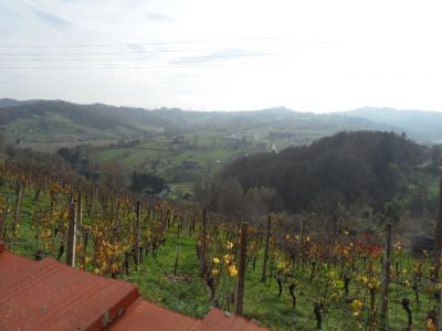 Kliknite za ogled večje slike