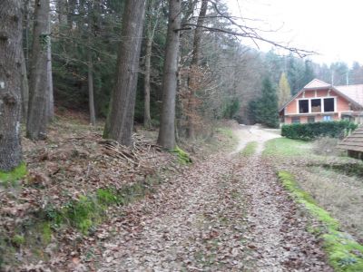 Kliknite za ogled večje slike