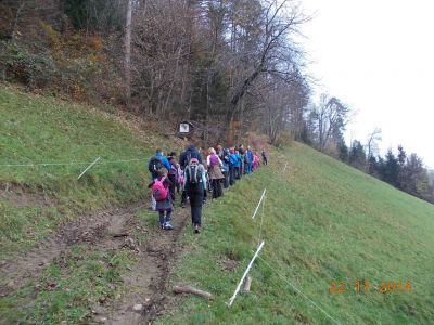 Kliknite za ogled večje slike