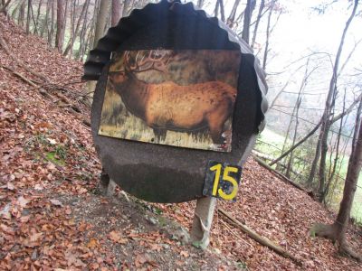 Kliknite za ogled večje slike