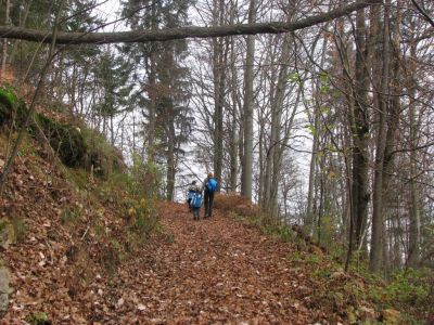 Kliknite za ogled večje slike