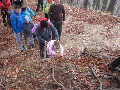 Kliknite za ogled večje slike