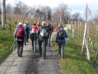 Kliknite za ogled večje slike