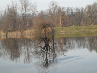 Kliknite za ogled večje slike