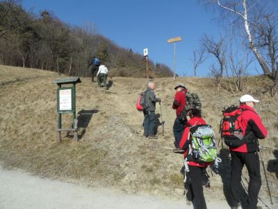 Kliknite za ogled večje slike