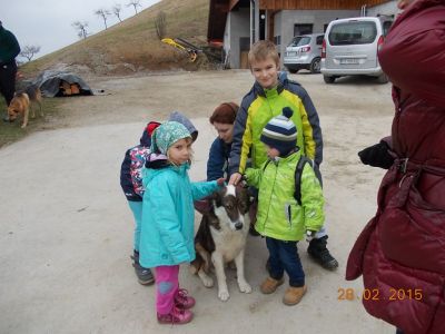 Kliknite za ogled večje slike