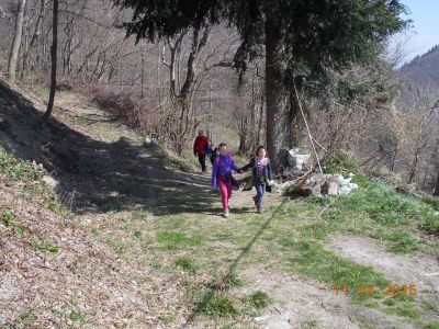Kliknite za ogled večje slike