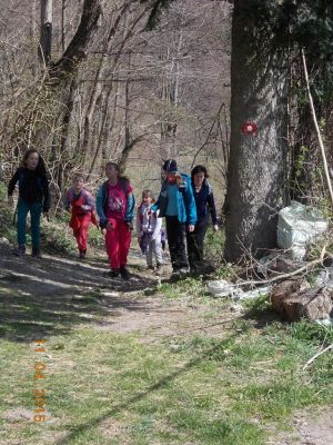Kliknite za ogled večje slike