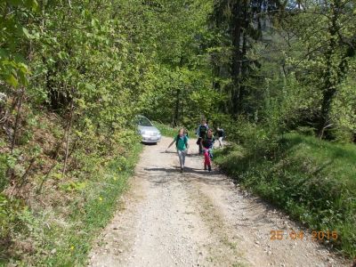 Kliknite za ogled večje slike