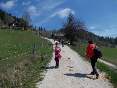Kliknite za ogled večje slike