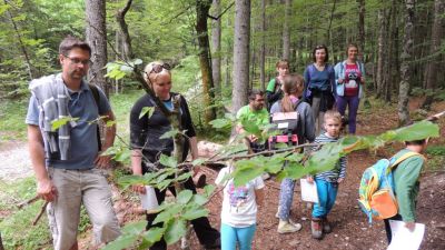 Kliknite za ogled večje slike