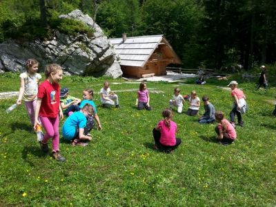 Kliknite za ogled večje slike