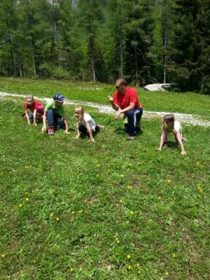 Kliknite za ogled večje slike