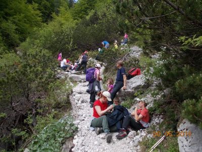 Kliknite za ogled večje slike